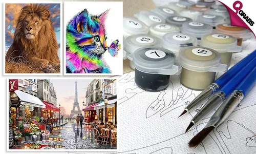 Painting by Numbers Kit!